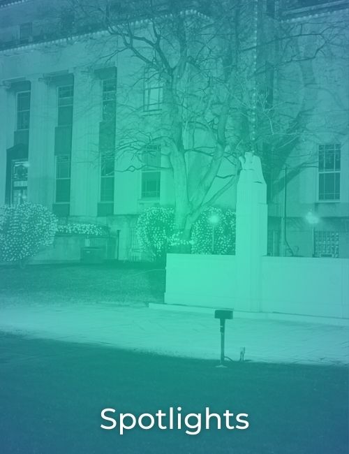 house that Trimlight Chicago put lights on