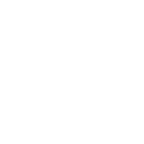 icon of shield with a lock inside